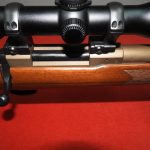 Tikka M55 .17 HMR
